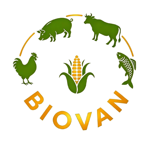 greenyellow-gnat-628799.hostingersite.com